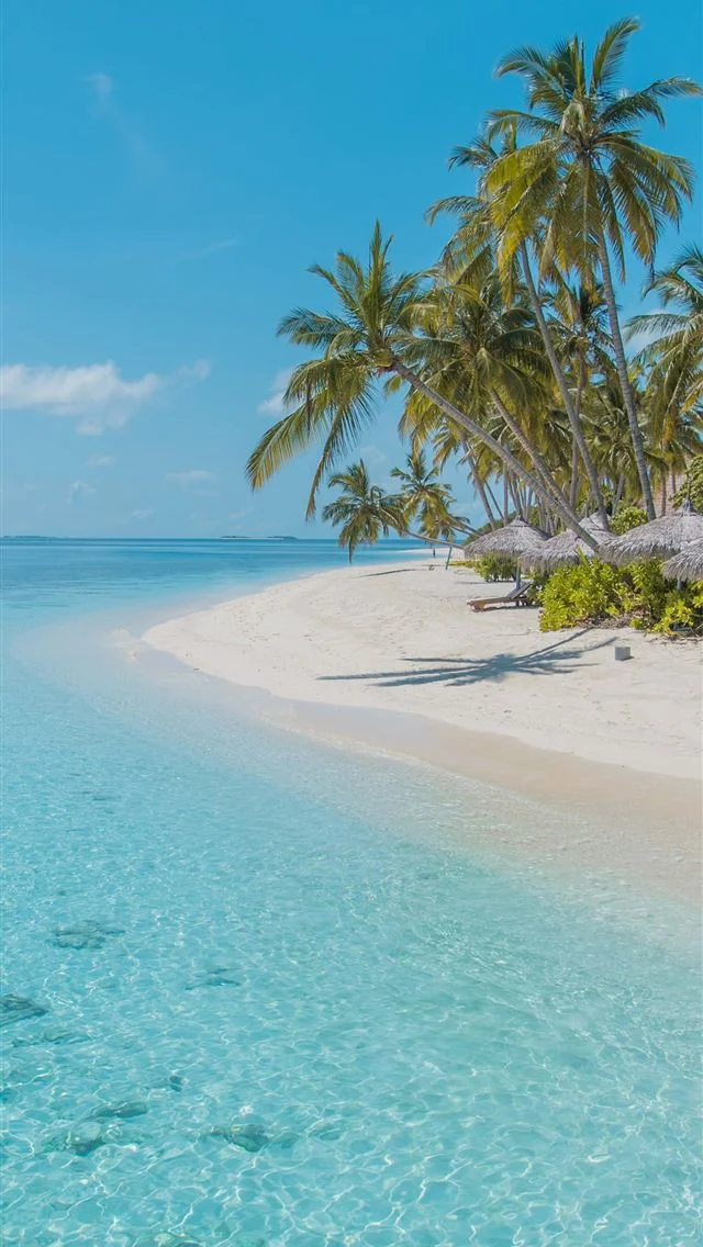 OMG! I really need a day (or a year) on this beach!
