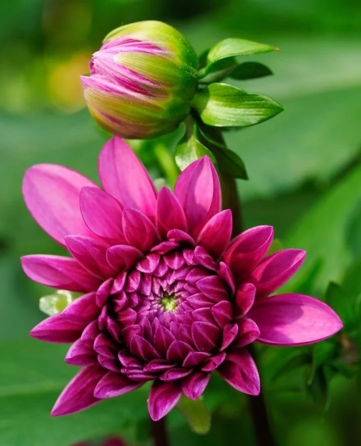 A heart at peace weighs little: that is why it soars even when the world is heavy ???? ℳ??????