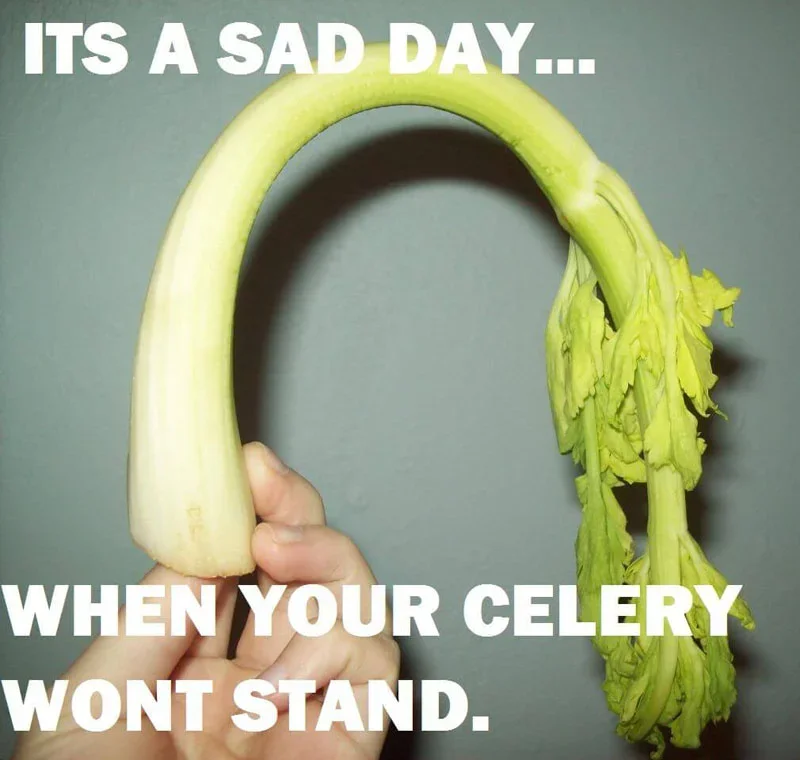 Having a Dead Celery Day ? ?