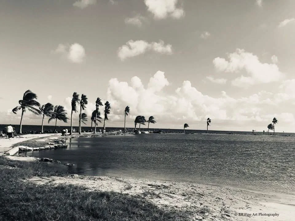 Matheson Hammock (1960s)